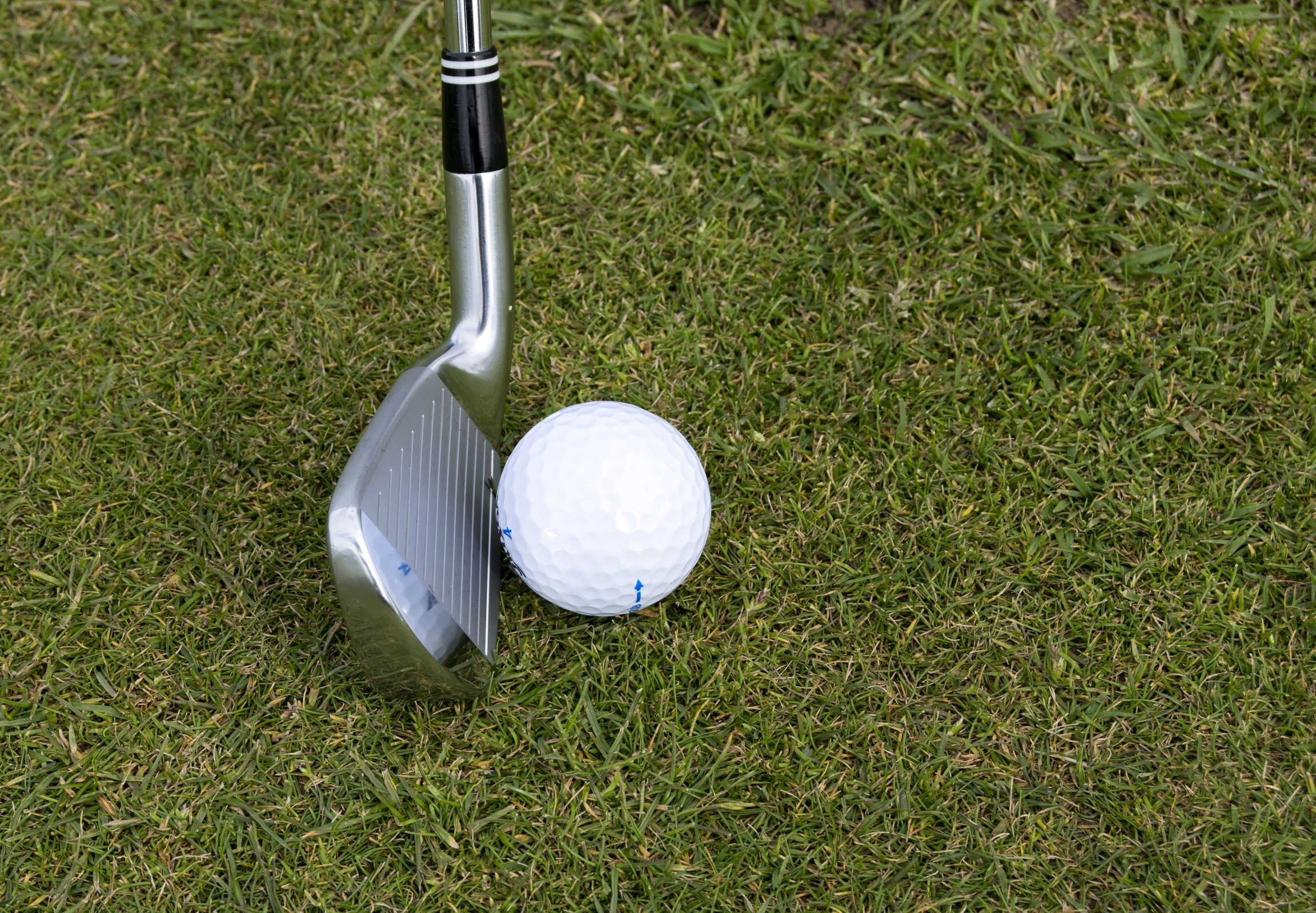 Golf Results 5/7/24
